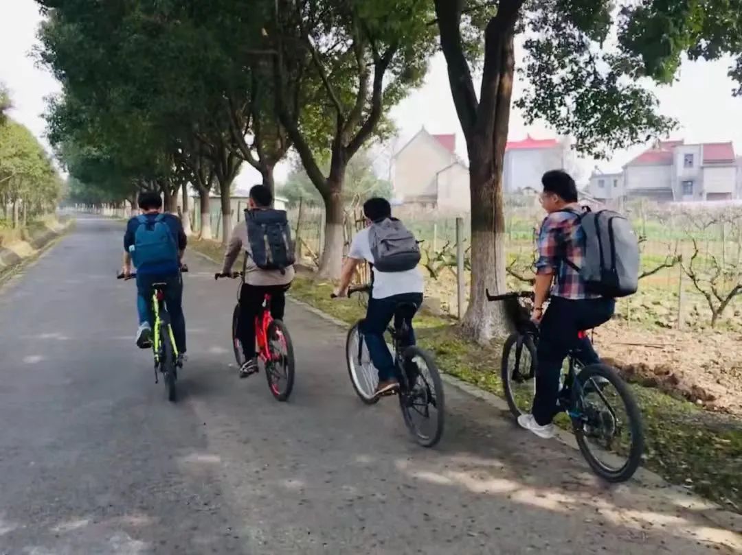 1649052507910098342.jpg 6.jpg