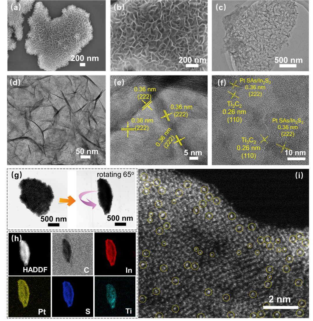 1658382173202081517.png 2.png